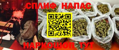 гидра Краснокаменск