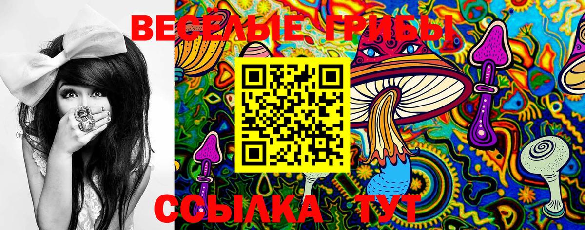 Псилоцибиновые грибы Psilocybine cubensis  Псилоцибиновые грибы MAGIC MUSHROOMS  Вход с VPN  Железногорск 